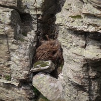 Photo de france - La randonnée du Mont Caroux